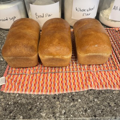 Honey Wheat Sandwich Bread 