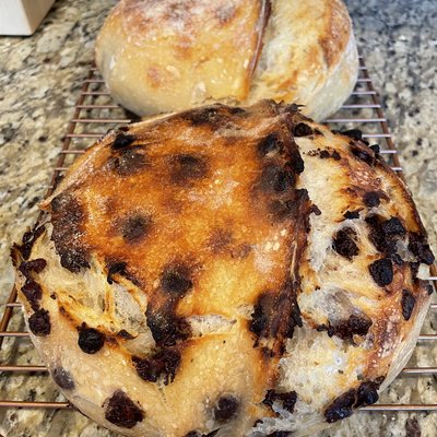 Chocolate Chip