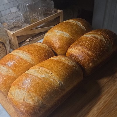 Sandwich Bread