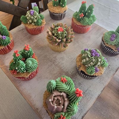 Boxed -Succulent Blooming Cupcakes 