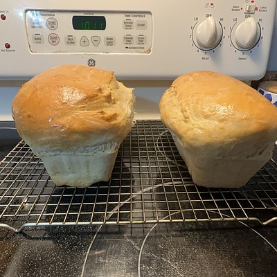 Sandwich Bread 