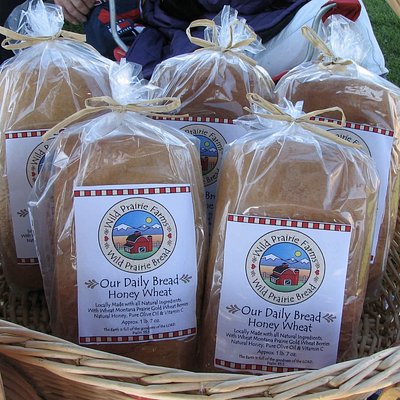 Our Daily Bread ~ Healthy Seeds