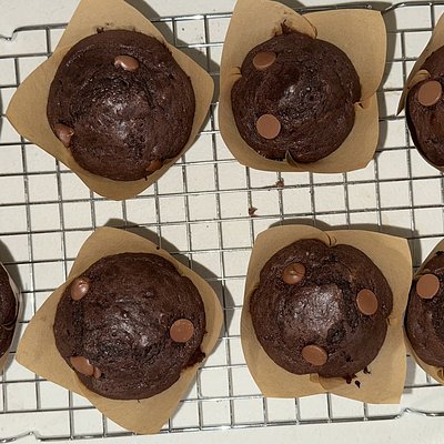 Regular Double Chocolate Chip Muffins