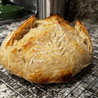 Croissant Sourdough