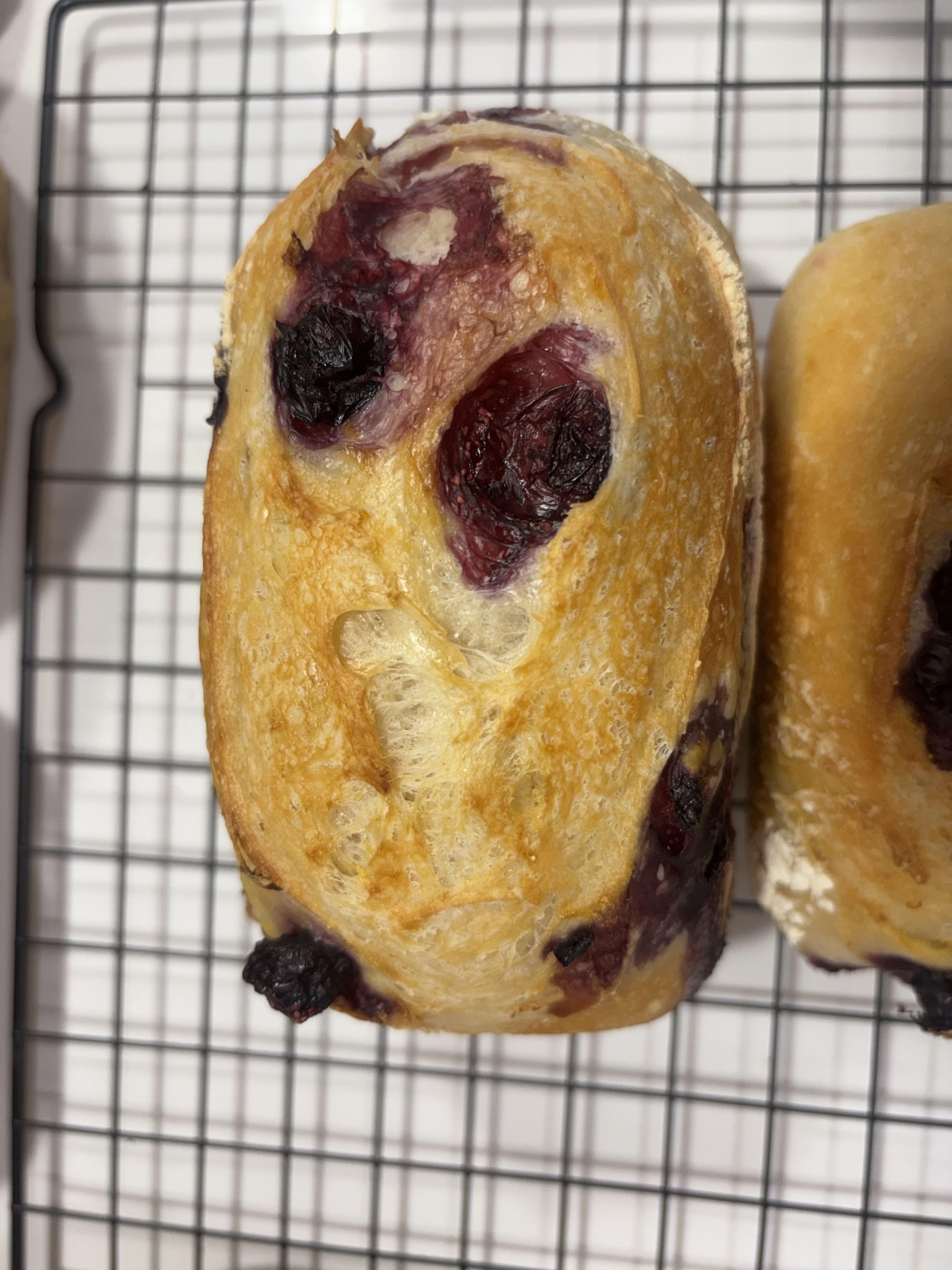Blueberry Lemon Loaf 