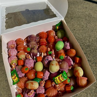 Large Grape Kabob Duo🎀🍭