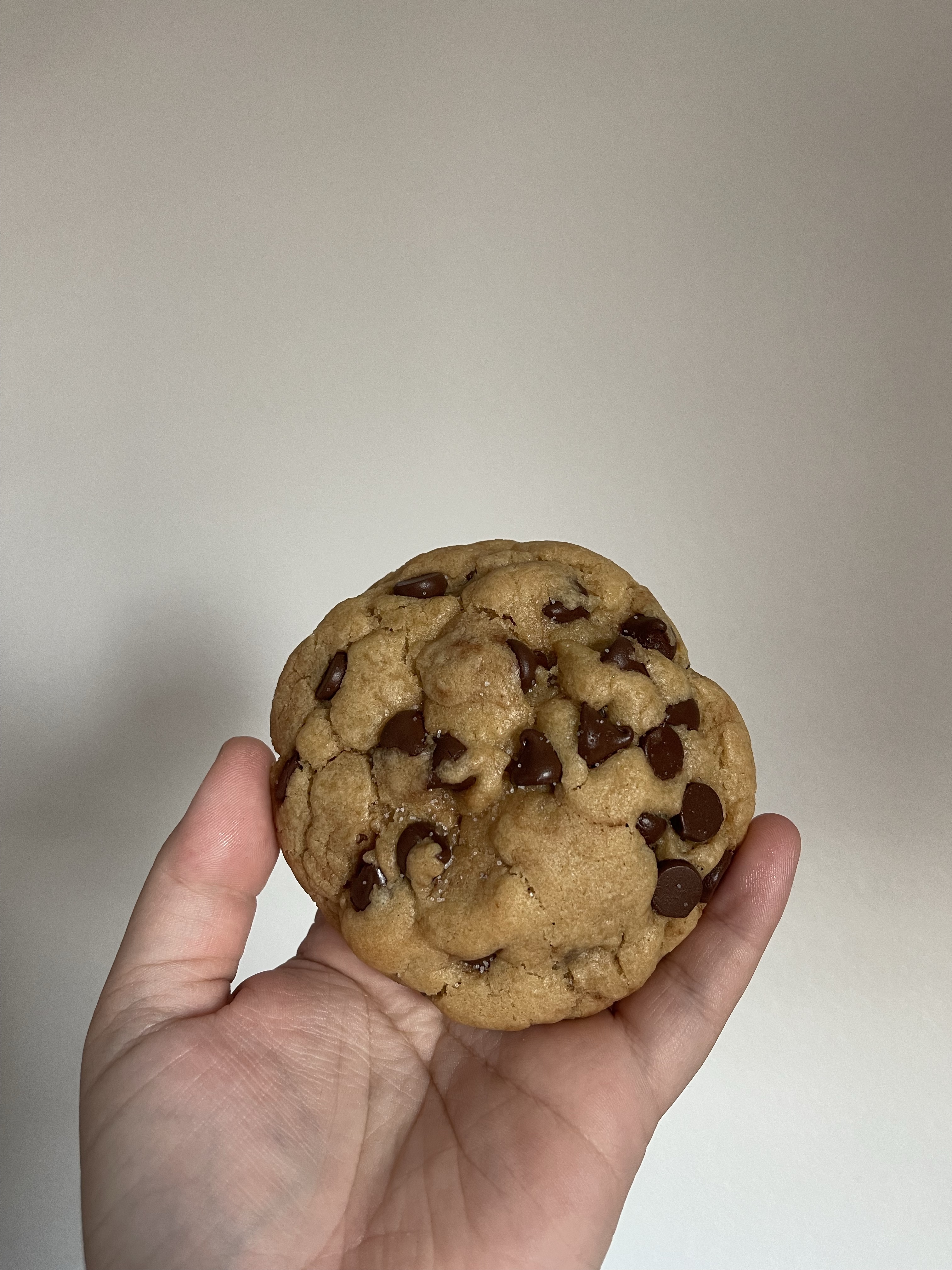 OG Chocolate Chip 