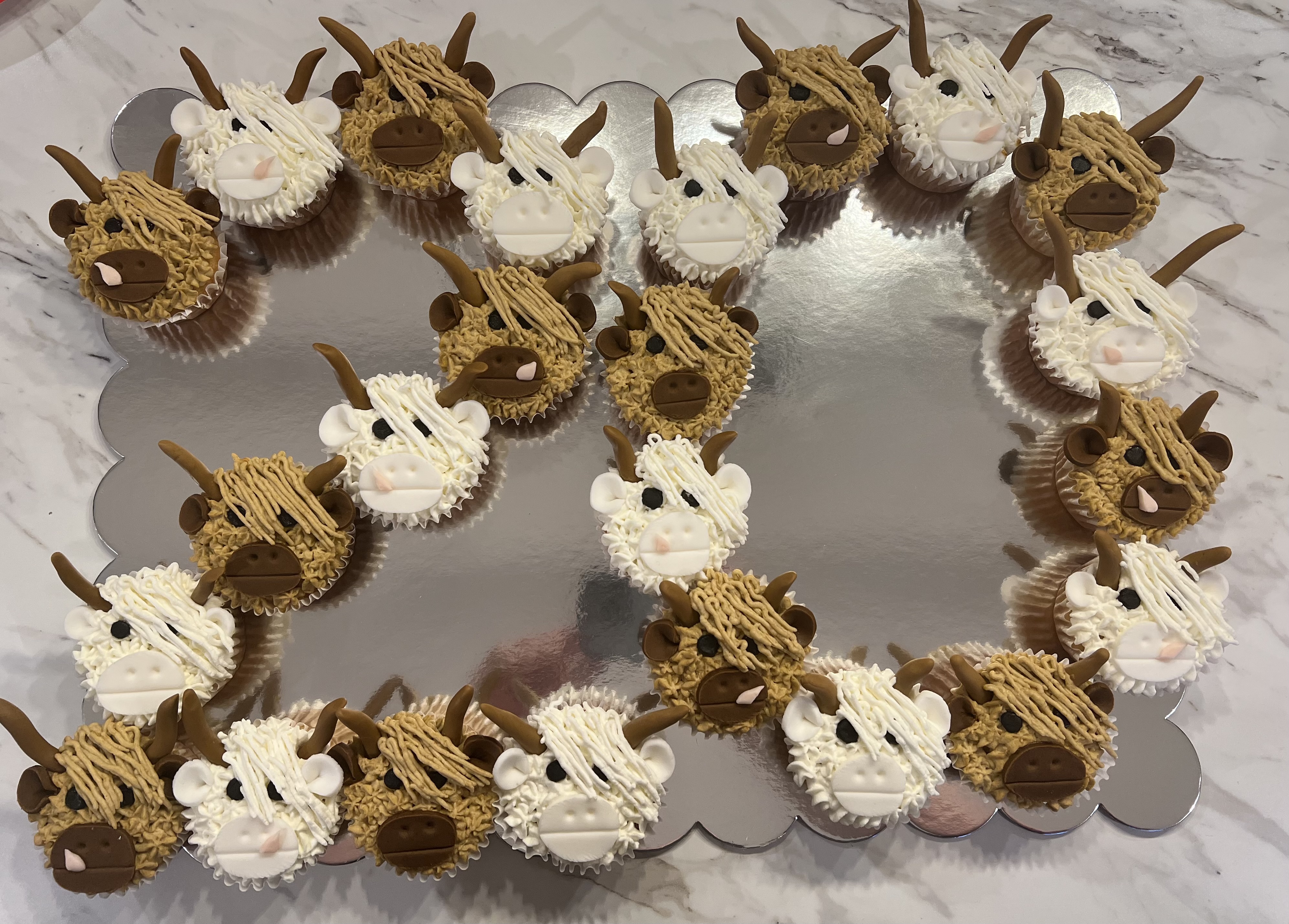 Dozen Cupcakes