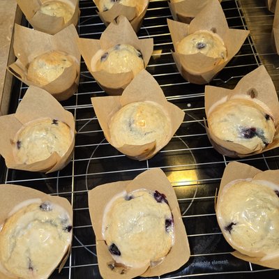 Lemon Blueberry Sourdough Muffins
