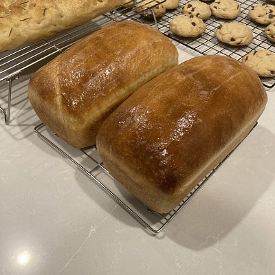 Sourdough Sandwich Loaf