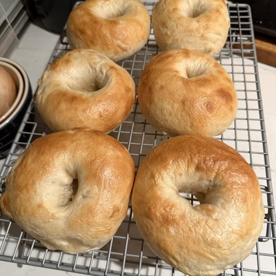 Sourdough Bagels (Dozen)