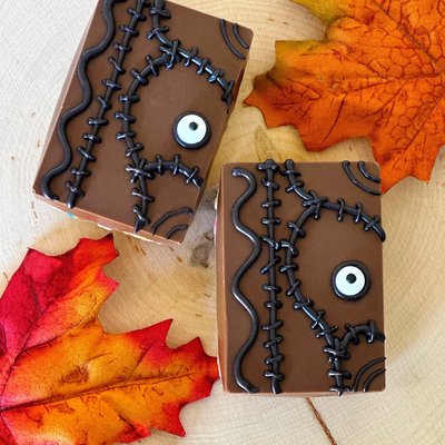 Chocolate Dipped Rice Krispies (1 Dozen)
