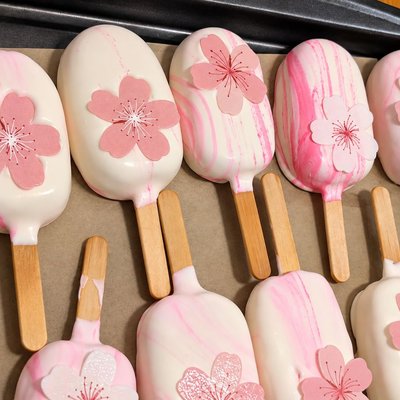 Cakesicle