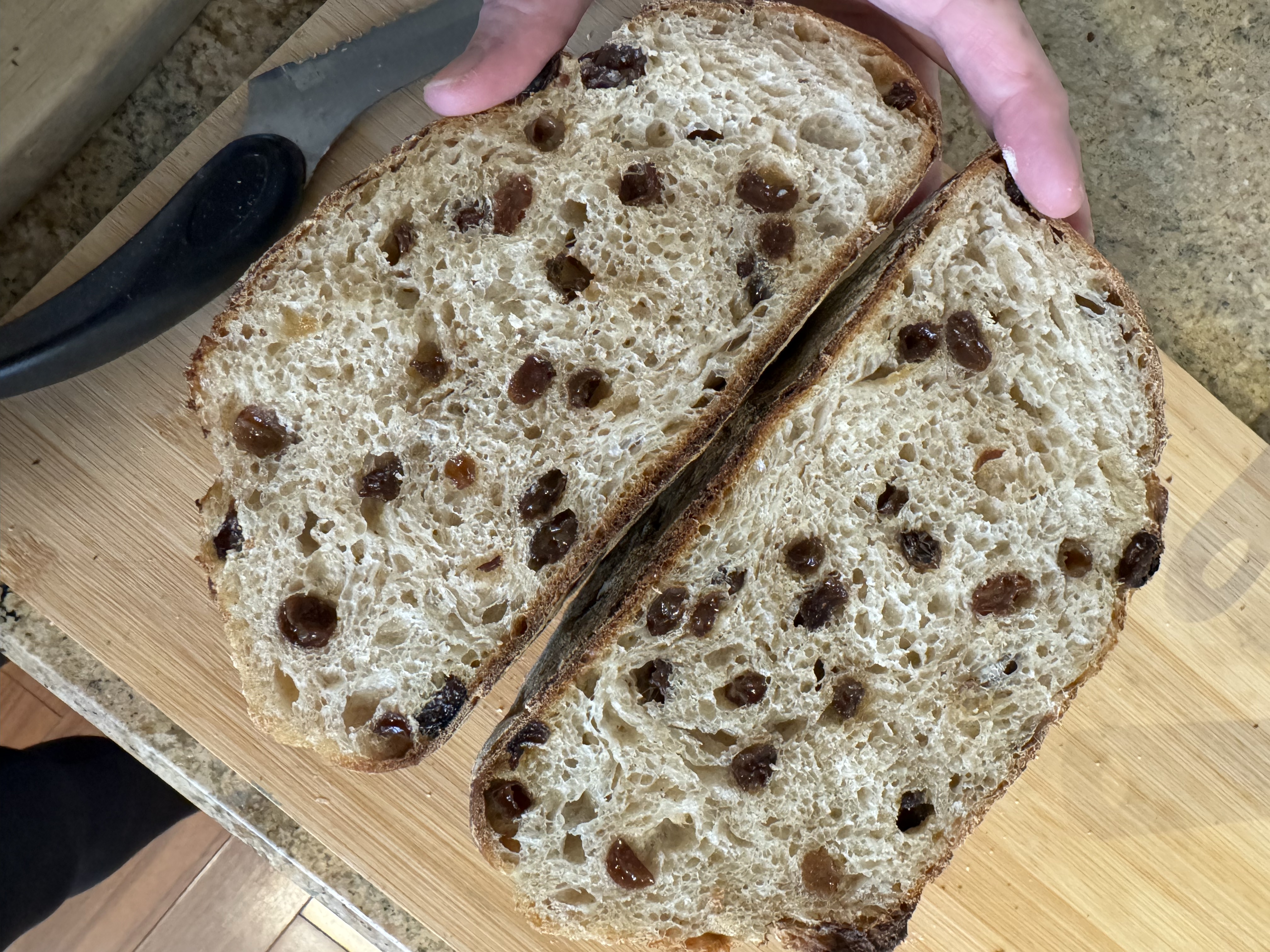 Cinnamon Raisin Walnut Sourdough boule 