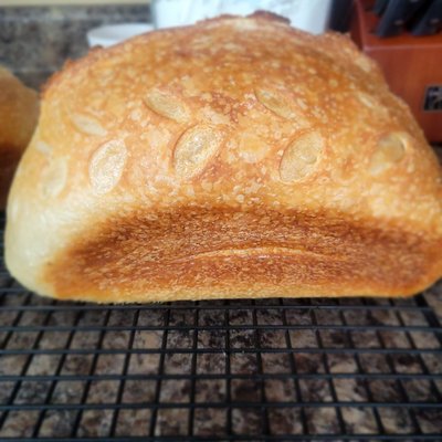 Classic Sourdough Bread (Softer Crust)