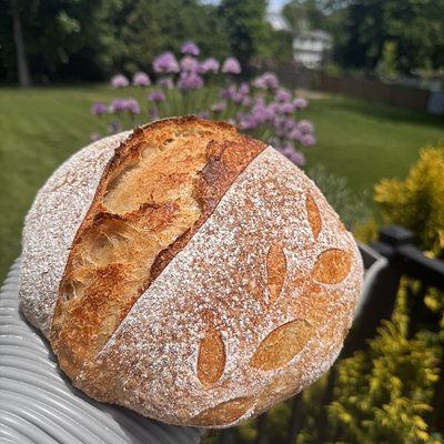 Whole Wheat Sourdough
