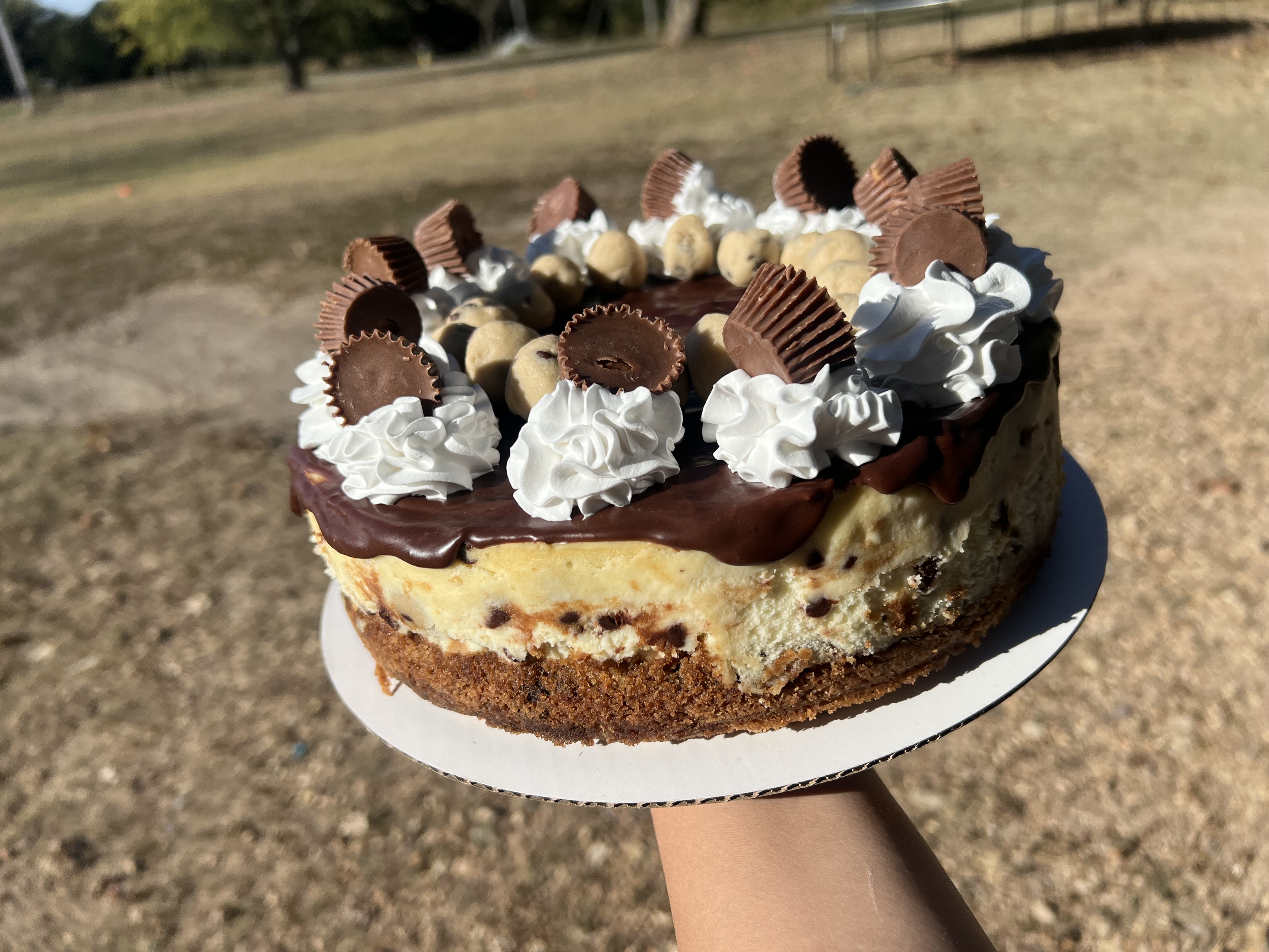 Cheesecake 