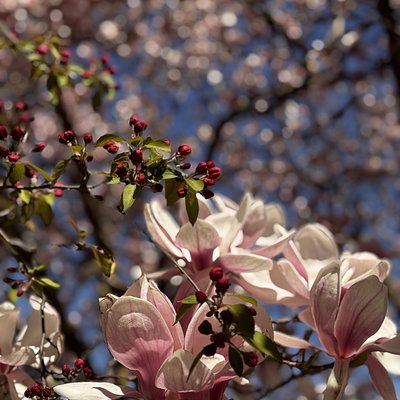 Easter Treats Selection