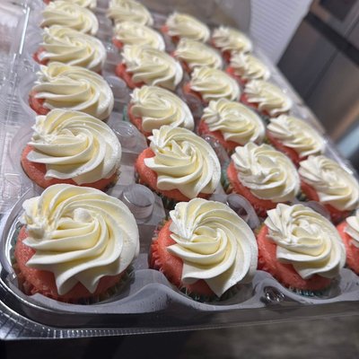 Basic Cupcakes