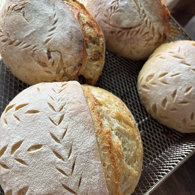 Custom Mini Sourdough Loaf s