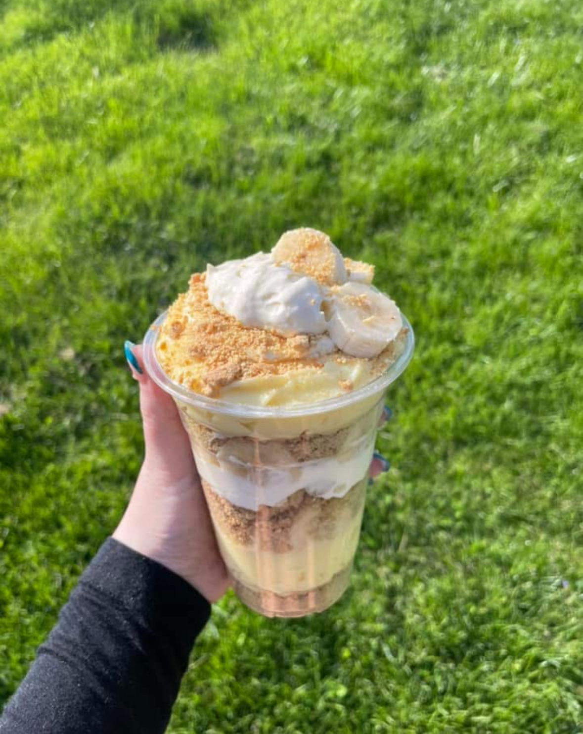 Cheesecake And Pudding Cups