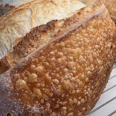 Plain Sourdough Loaf