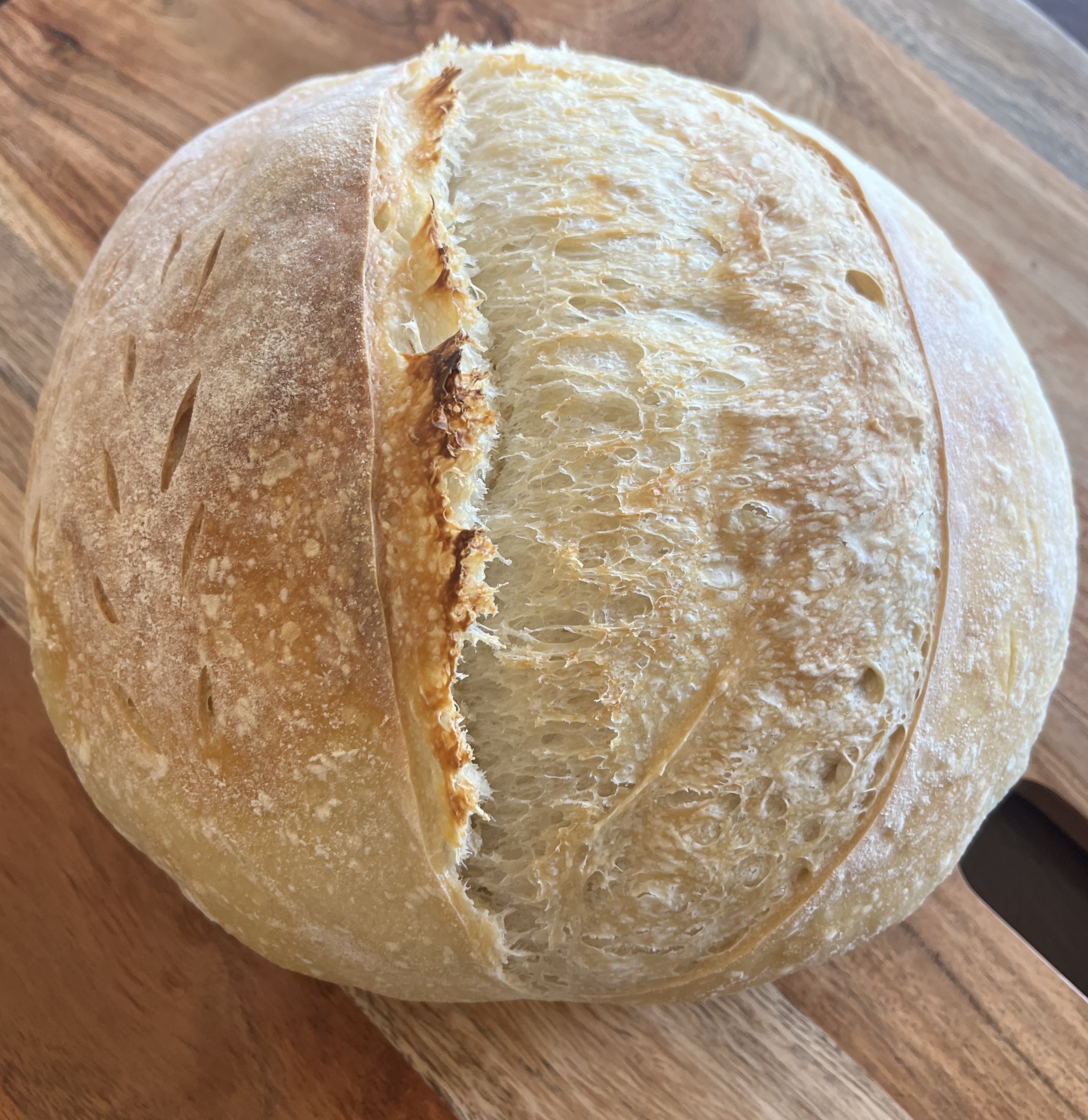 Classic  Sourdough Bread 
