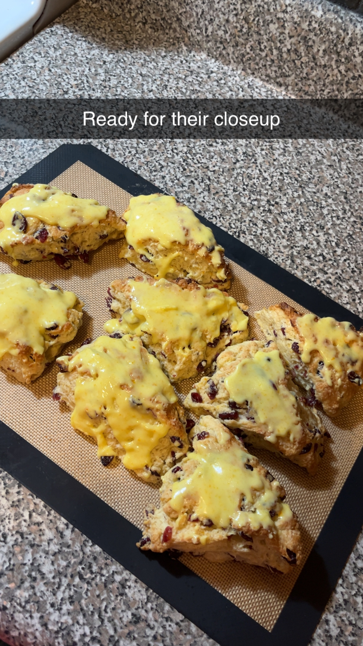 Orange Cranberry Sourdough Scone 4 Count