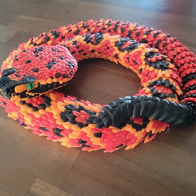 Diamondback Rattlesnake