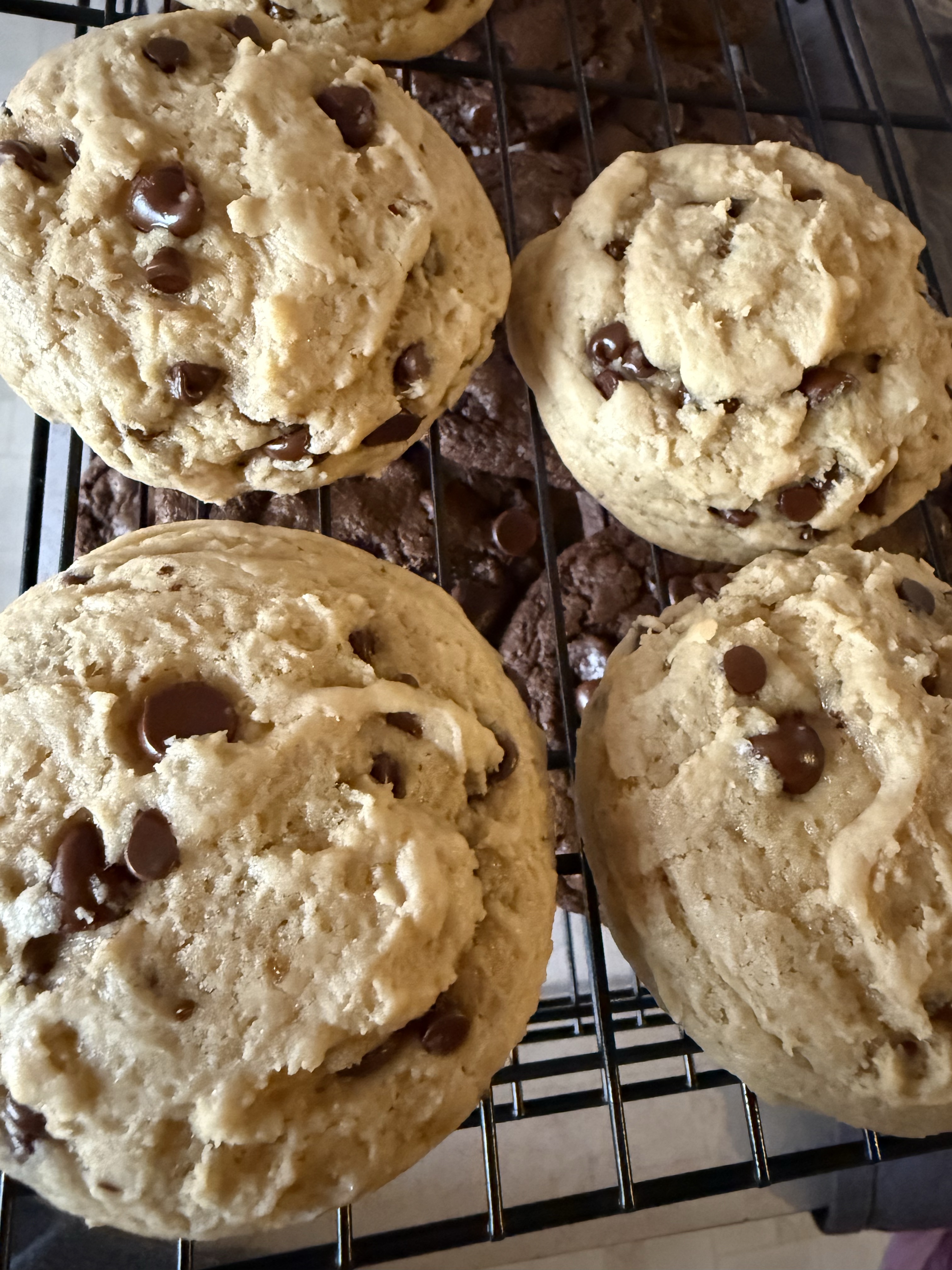 Sourdough Discard Chocolate Chip Cookies