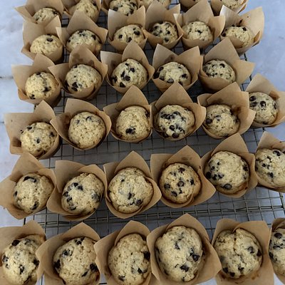 Sourdough Mini Muffins 