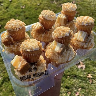 Loaded Cupcakes