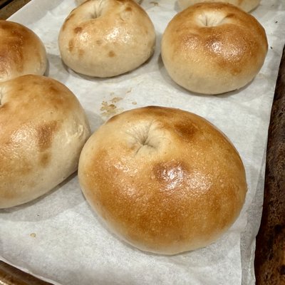 Sourdough Assorted Bagel