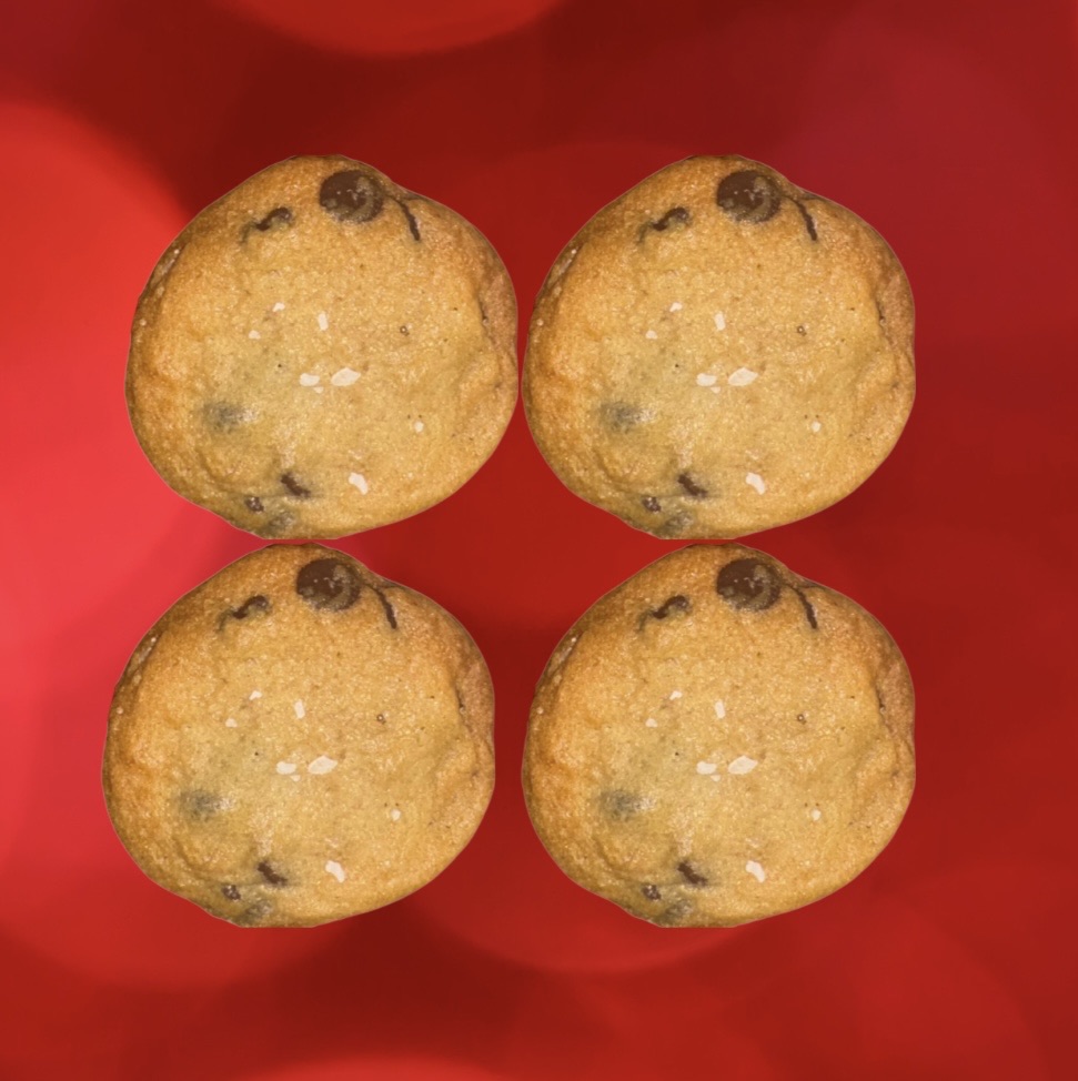 Sea Salt Chico Chocolate Chip 4 Pack