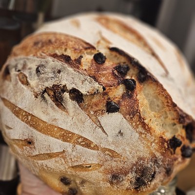 Cranberry Walnut Sourdough Boule