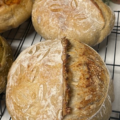 Classic Sourdough Boule