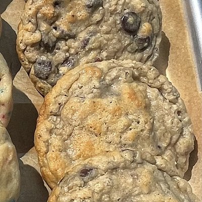 Dozen Oatmeal Pecan Chocolate Chip