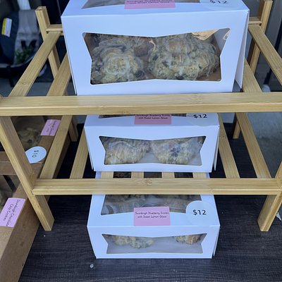 4ct Sourdough Blueberry Scones W/ Lemon Glaze