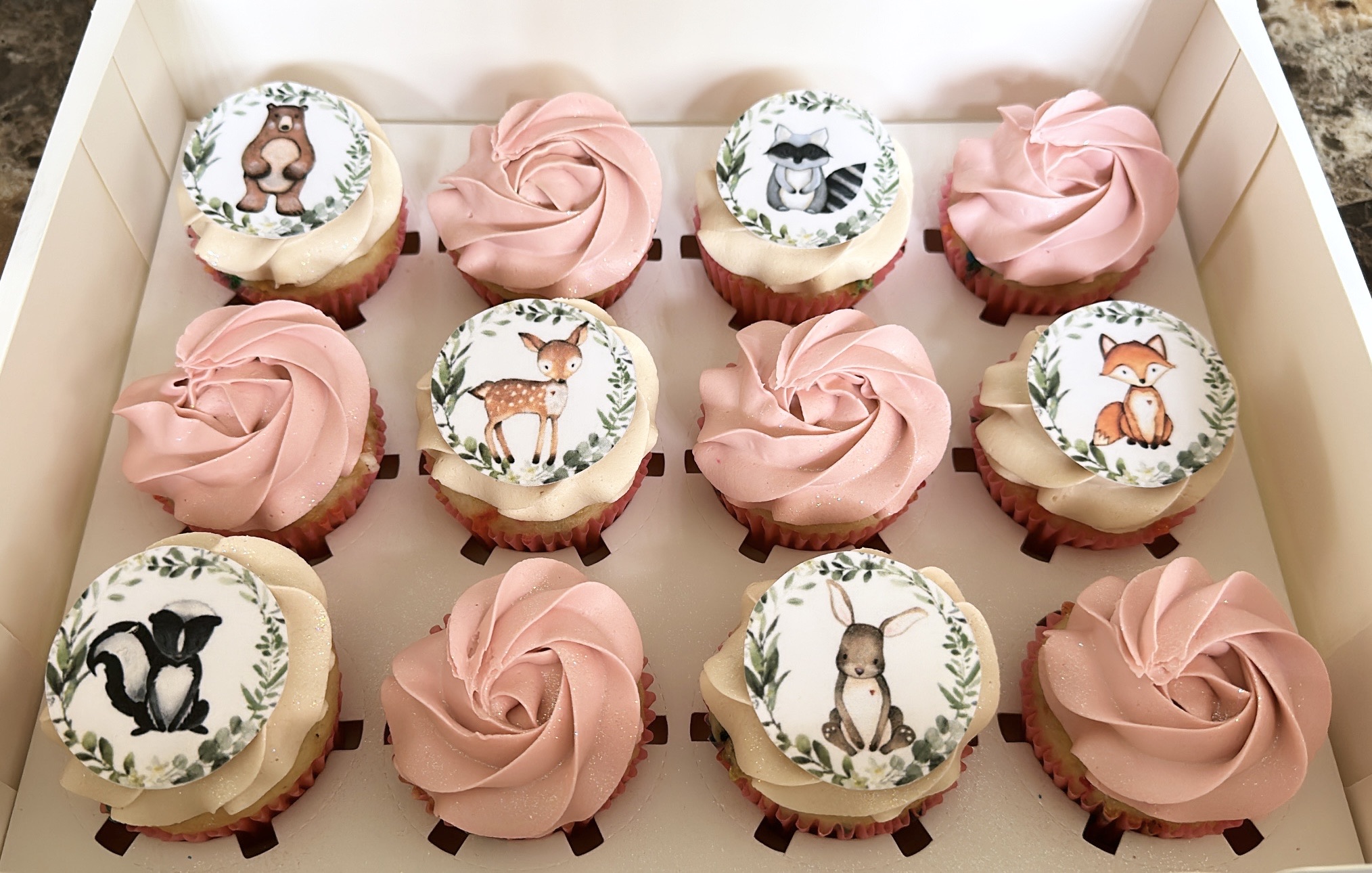 Dozen Cupcakes