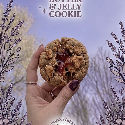 Peanut Butter & Jelly Cookie - 2 Pack