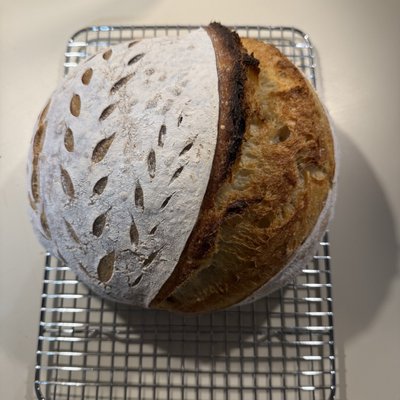 Plain Sourdough 