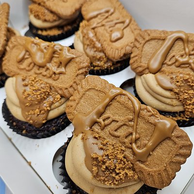 Chocolate Biscoff Cupcakes (6-Pack)