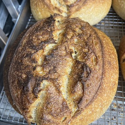 Organic Khorasan Fresh Milled Sourdough Bread