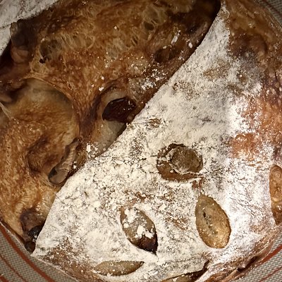 Cranberry Walnut  Sourdough Boule  