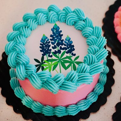 Bluebonnet Mini Cake 