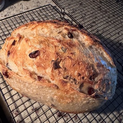 Large Cranberry & Pecan