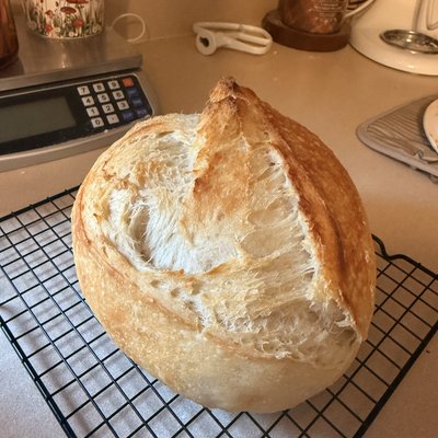Signature Sourdough 