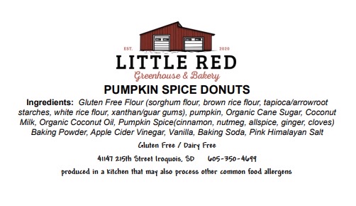Pumpkin Spice Donut
