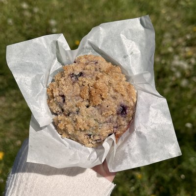 Dozen Blueberry Streusel Muffins 