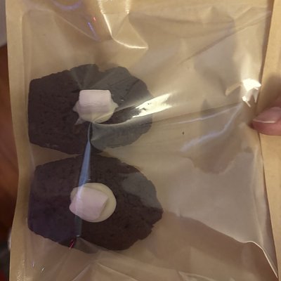 Box Of 8 Chocolate peppermint Madeleines (White Chocolate Shell)